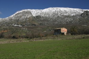 cima innevata di Pizzo Trigna presso Baucina  